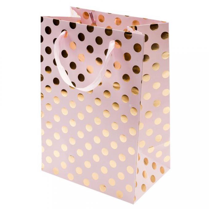 de Luxegift Gedrukte Document van 100gsm 128gsm Boodschappentassen met Linthandvat 2